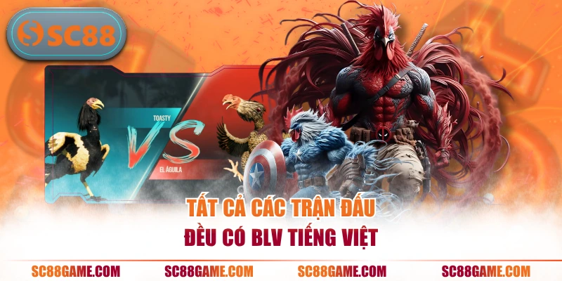 Tất cả các trận đấu đều có BLV tiếng Việt